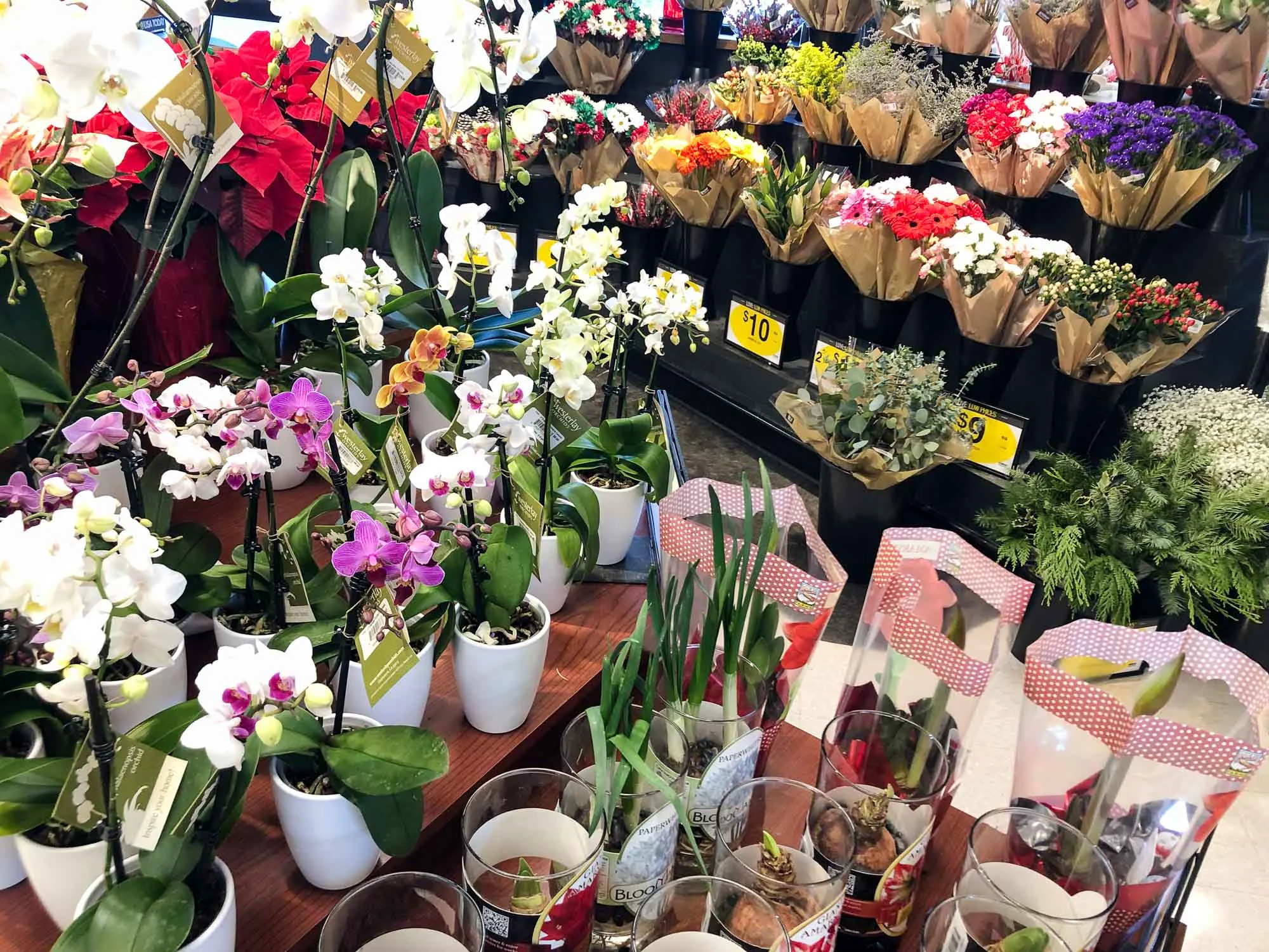 QFC — Explore Sellwood Moreland