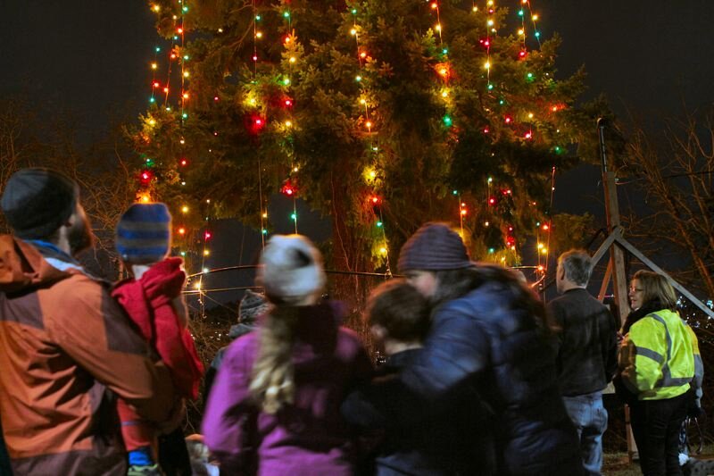 Lighting of the Neighborhood Christmas Tree