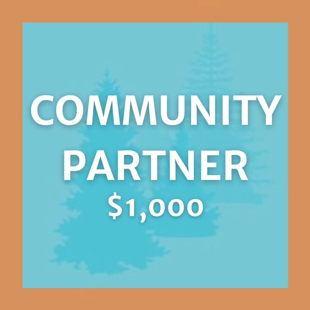 COMMUNITY PARTNER