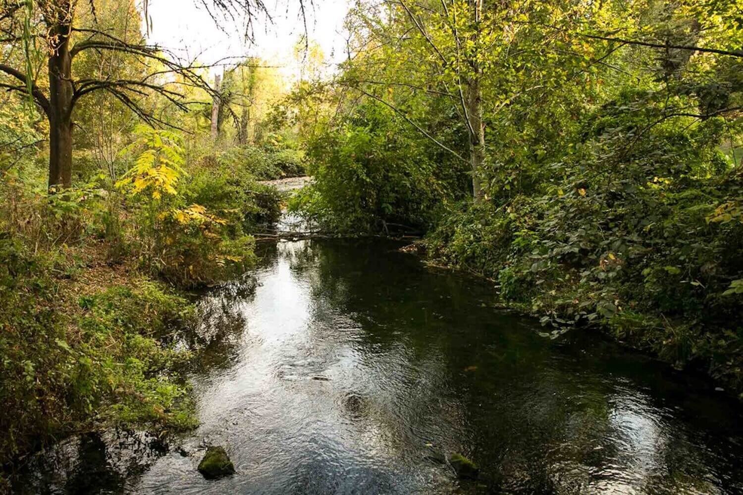 Johnson-creek-park-portland-oregon.jpeg