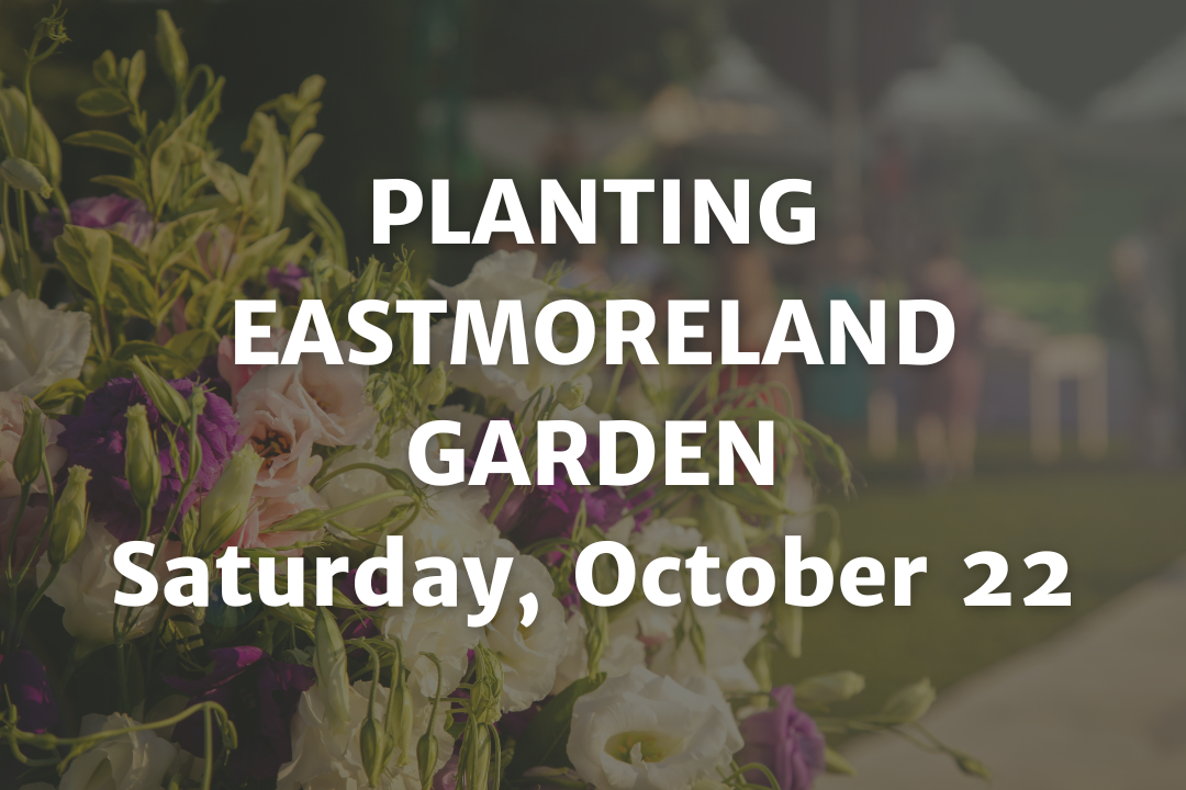 Planting Eastmoreland Garden