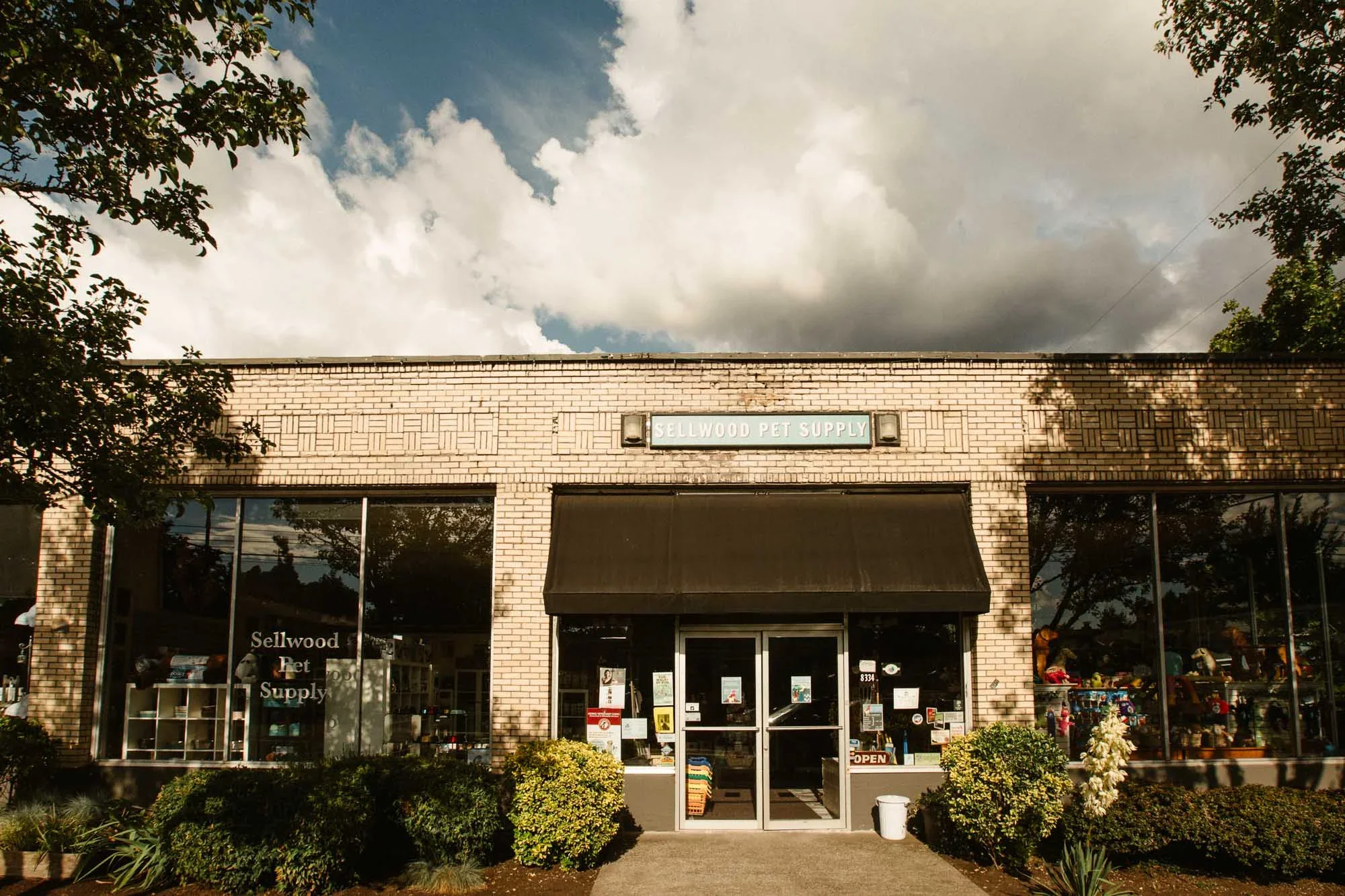 Small Business Saturday 