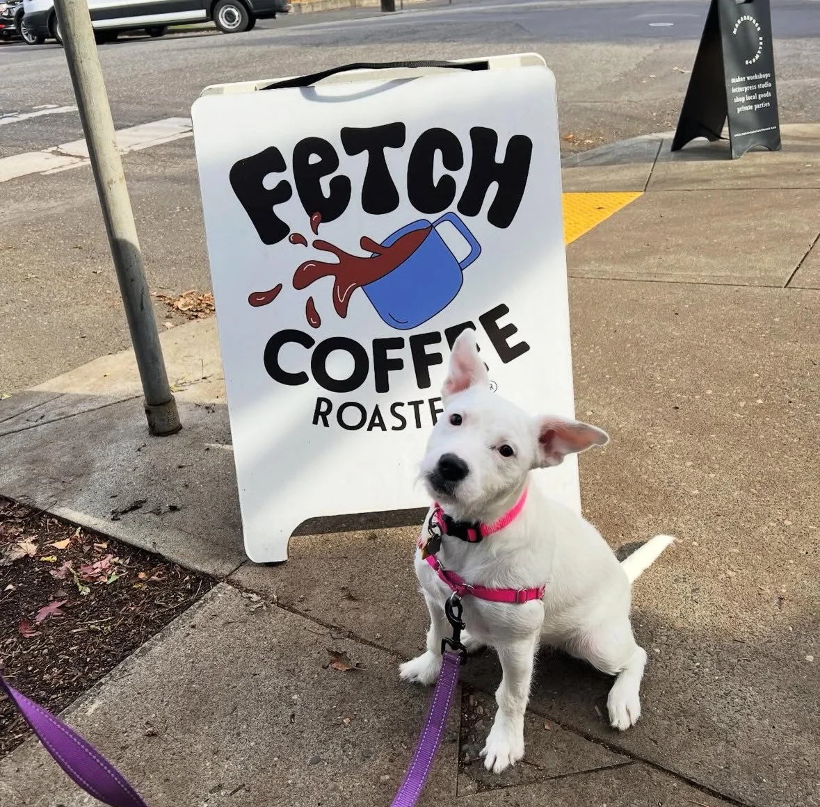 Fetch Pet Food Drive