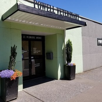 Powell Veterinary Center Westmoreland