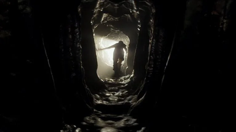Annihilation, 2018
