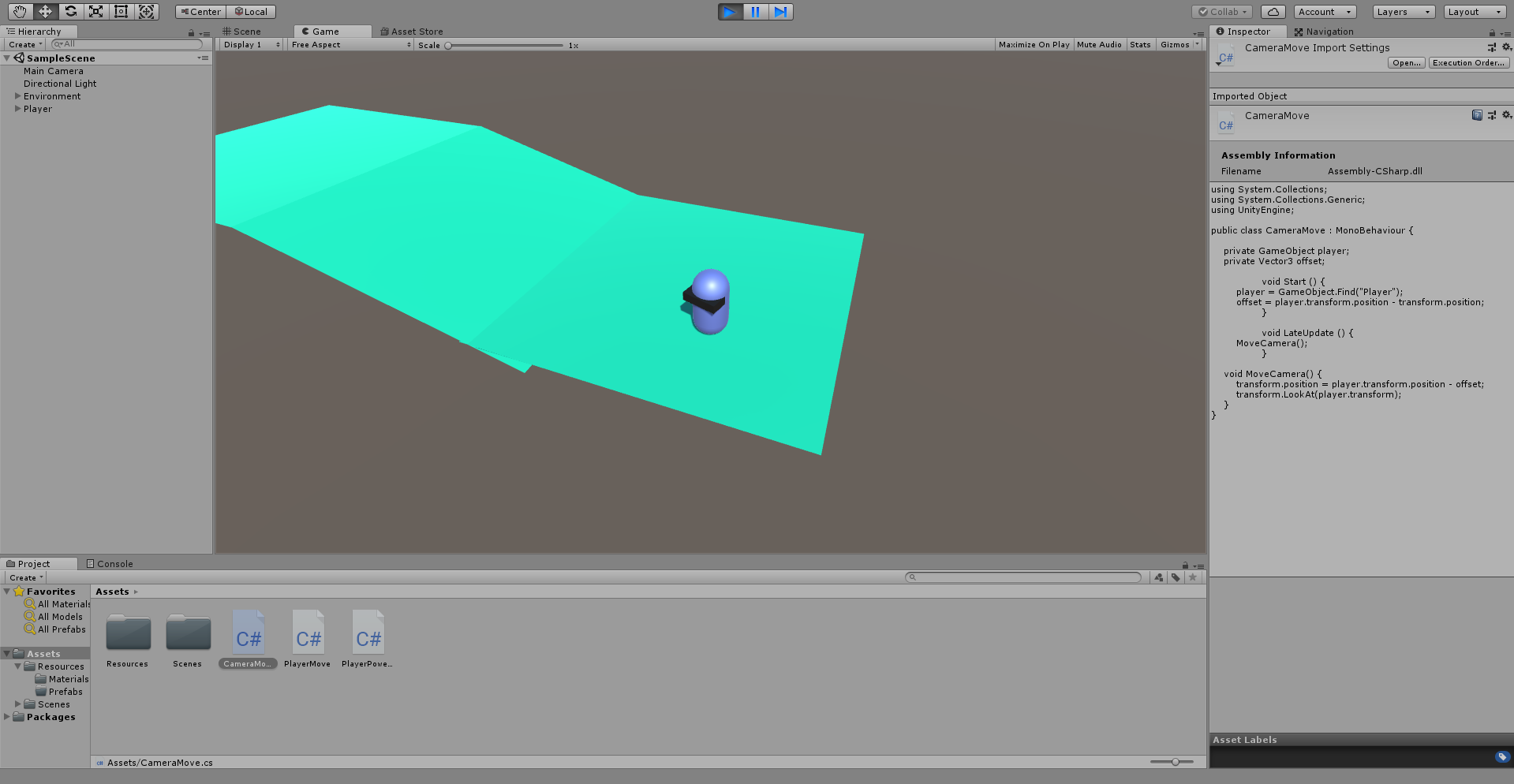 An example of how the Camera View Point is directly looking at the player. If they were to move, the Camera would directly follow the player, always keeping them in the center of the image.