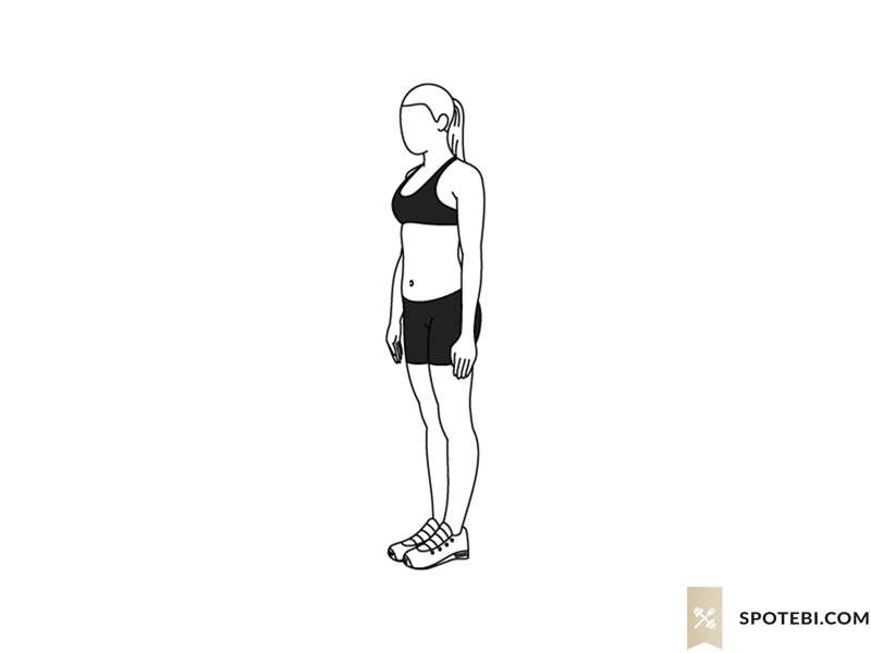 Gif Credit to: spotebi.com