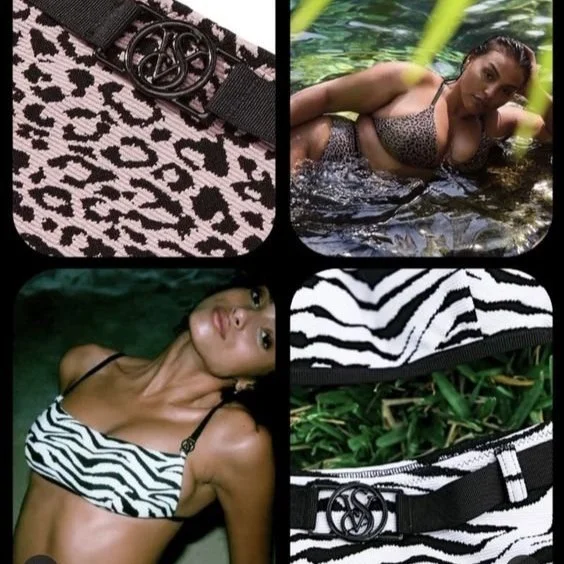 Wild Wanderer - VS SWIM