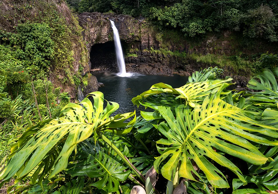iStock-847080104.jpg