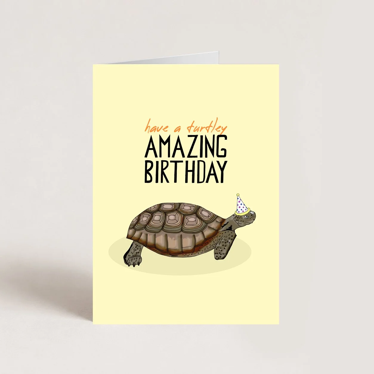 Turtley Amazing Birthday Card
