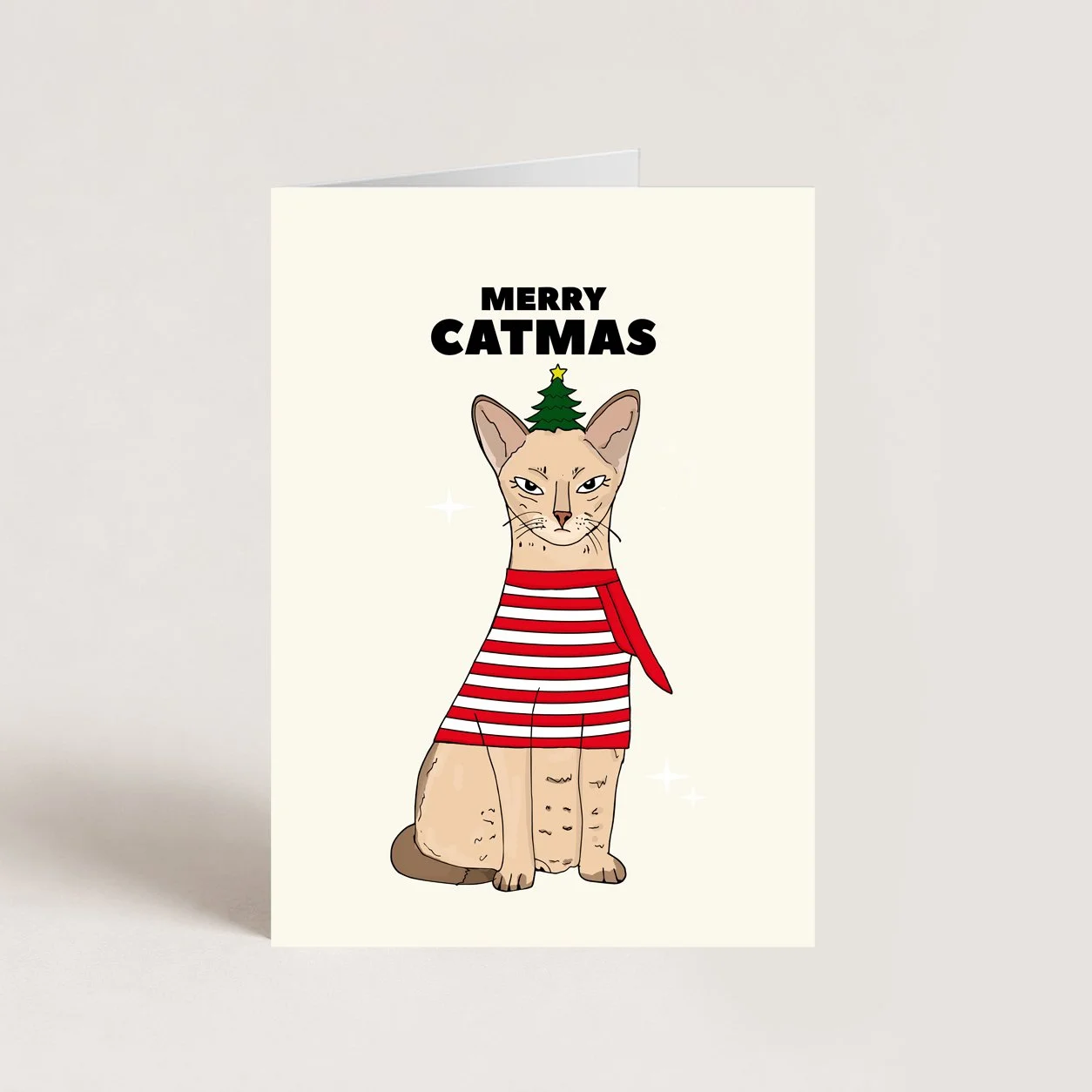 Merry Catmas Christmas Card