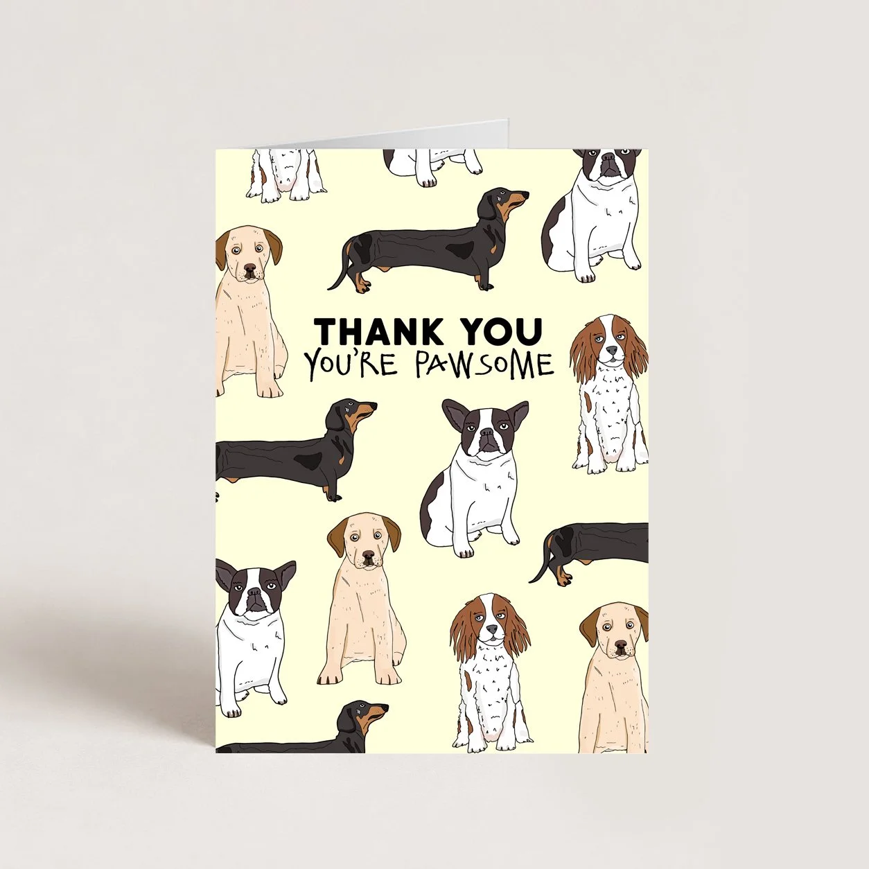 Thank You Dog Card