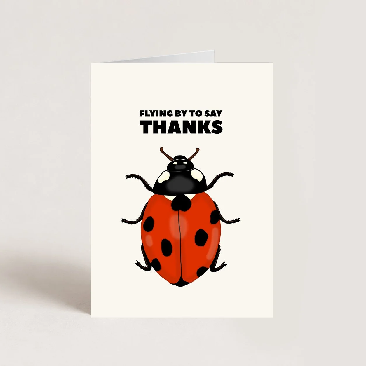 Ladybird Thank You Card