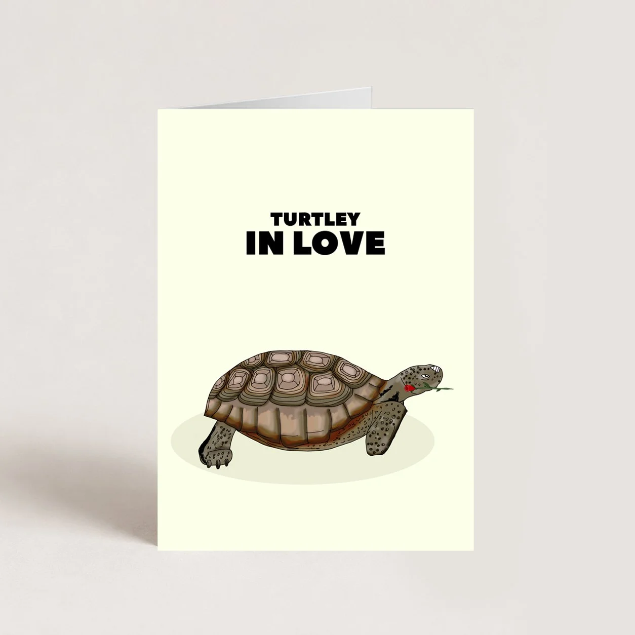 Turtley in Love Card
