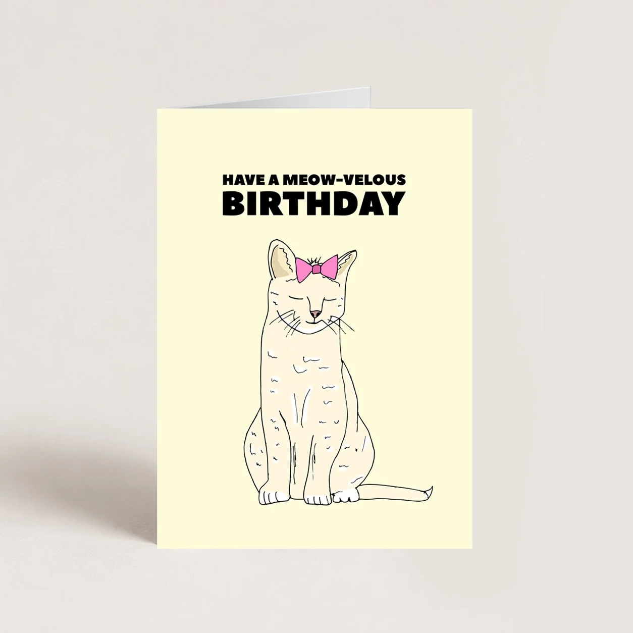 Cute Cat Birthday Card
