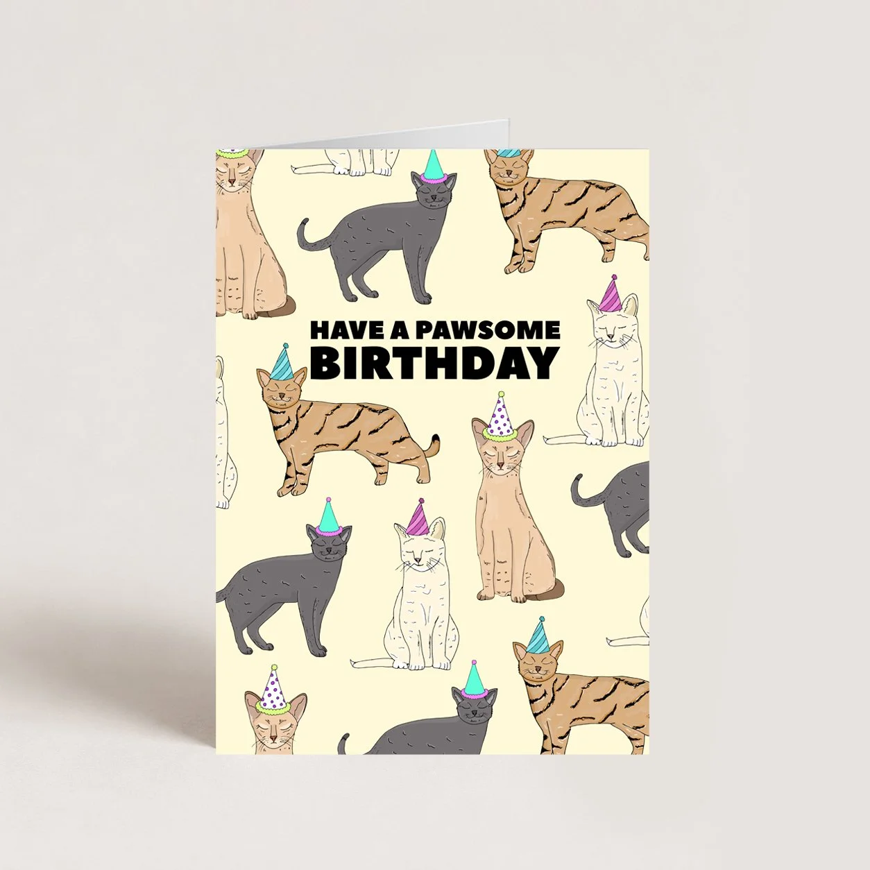 Happy Birthday Cats Card
