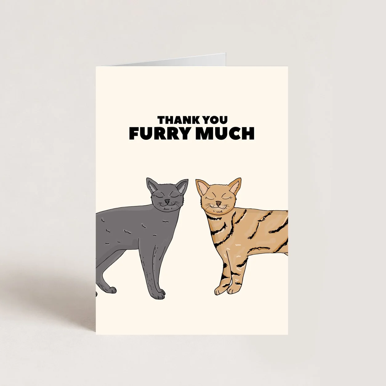 card scster.jpg
