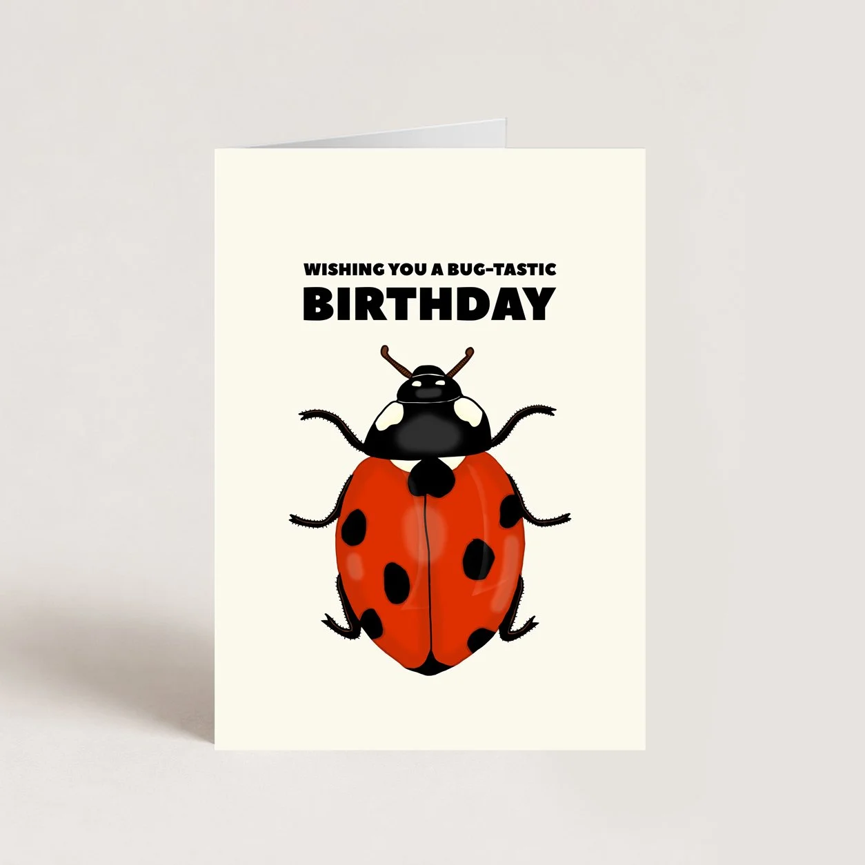 Ladybird Birthday Card