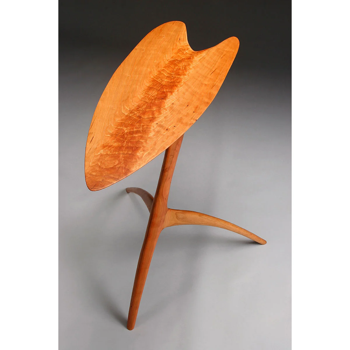 siglo-moderno-heron-brian-fireman-side-table-3.jpg