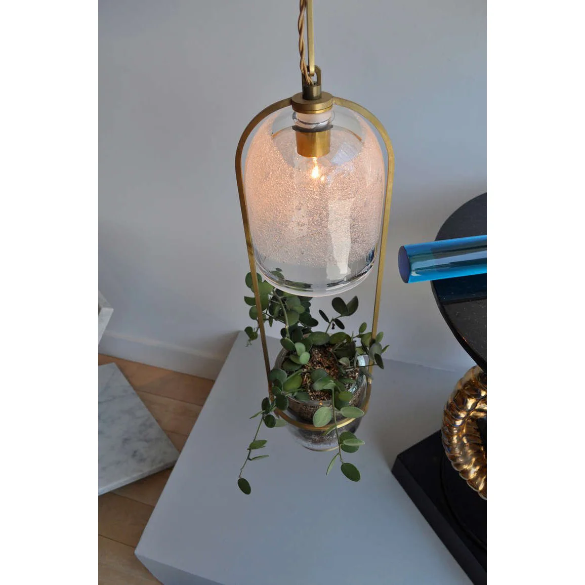 siglo_moderno_GROW_LIGHT1_l.jpg