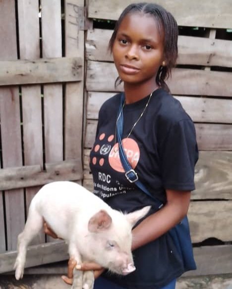 Pig Breeding in Kananga