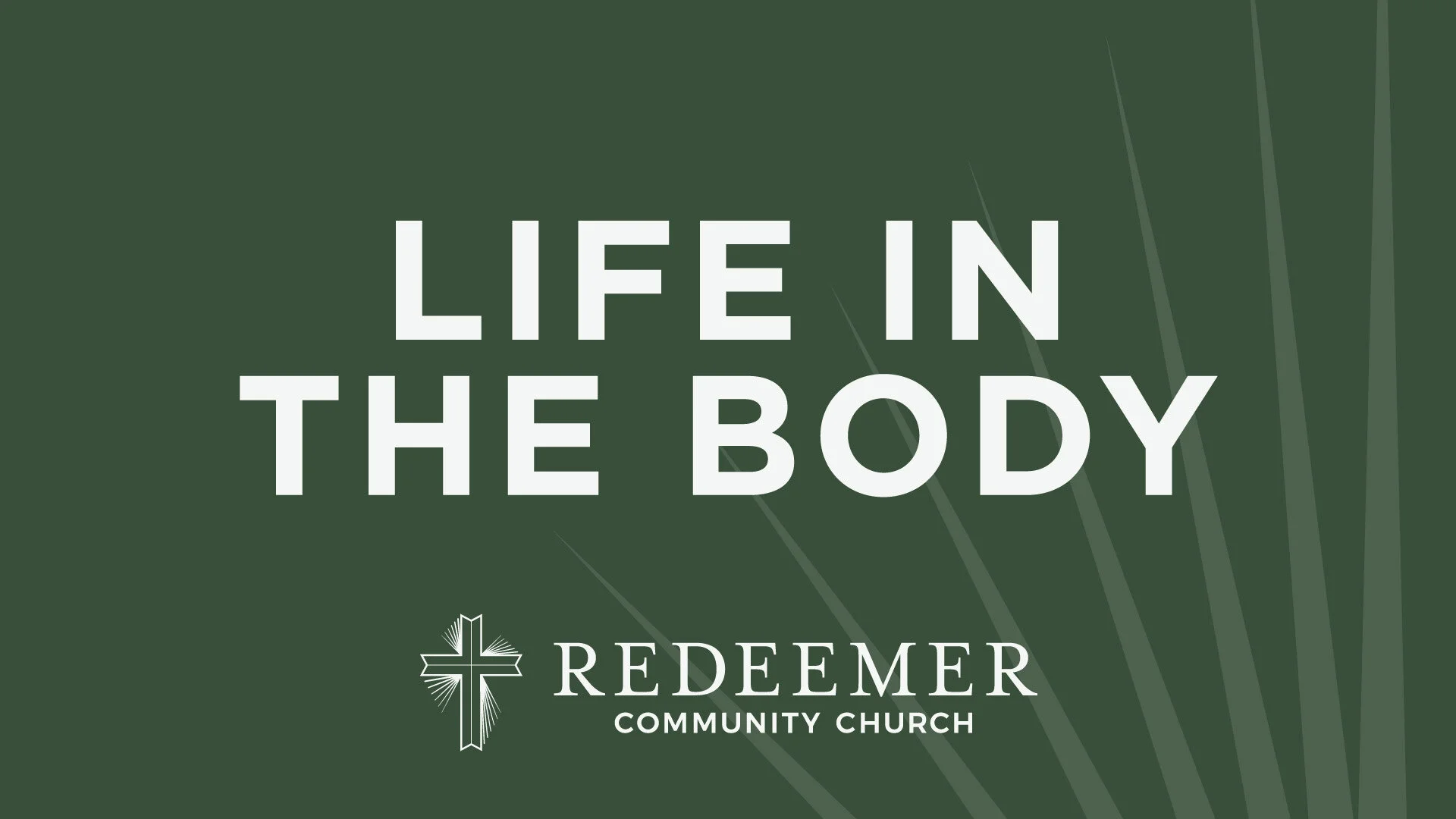 Psalm 115: Resembling What We Worship