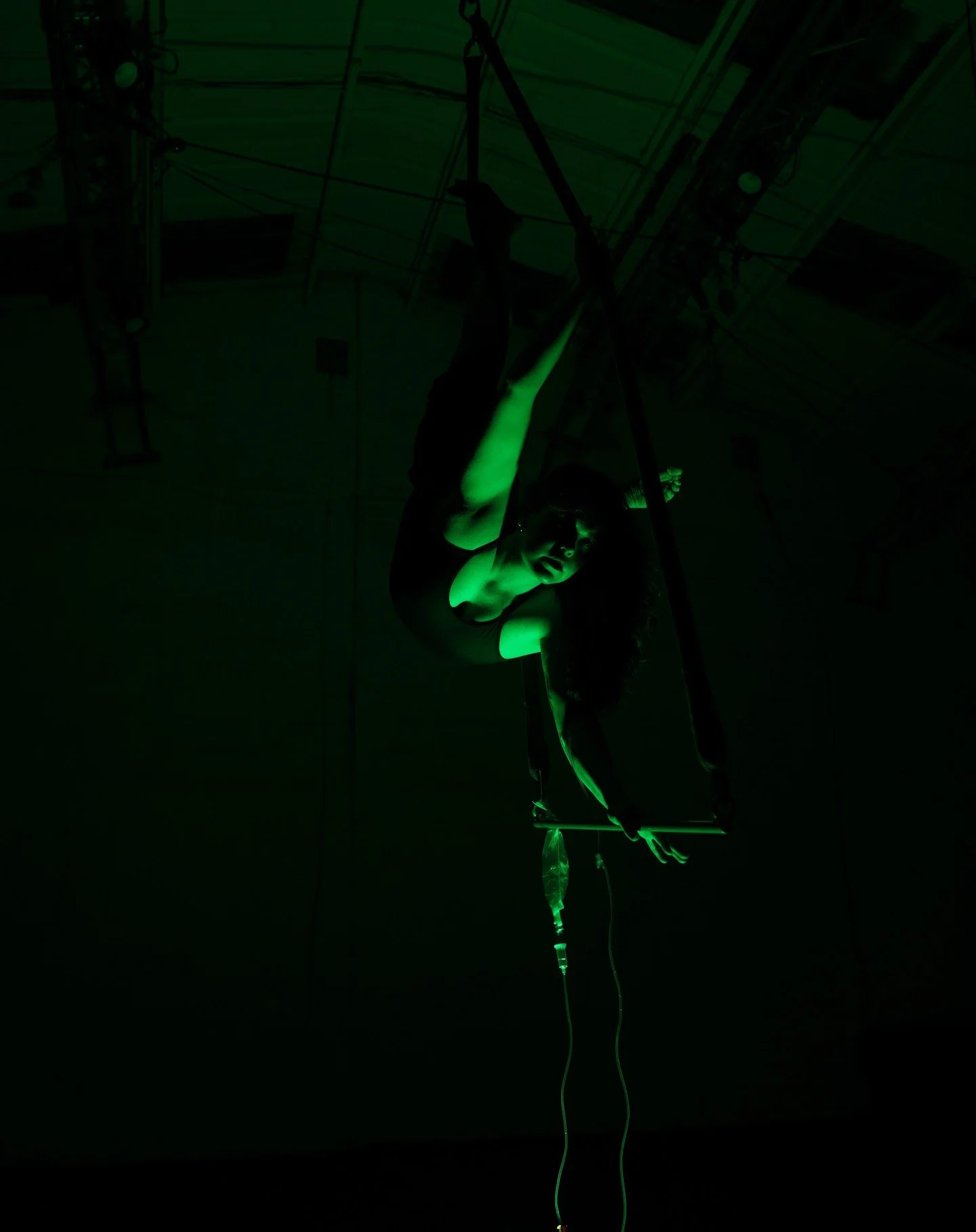 🟢PRODUCTION AND MENTORS🟢

I am incredibly lucky to have lots of lovely folks who have been working behind the scenes with me on Malignant Humour.

🦇If @emmen_jude_donnelly had not can-can kicked me into an aerial apparatus, and thrown things at me