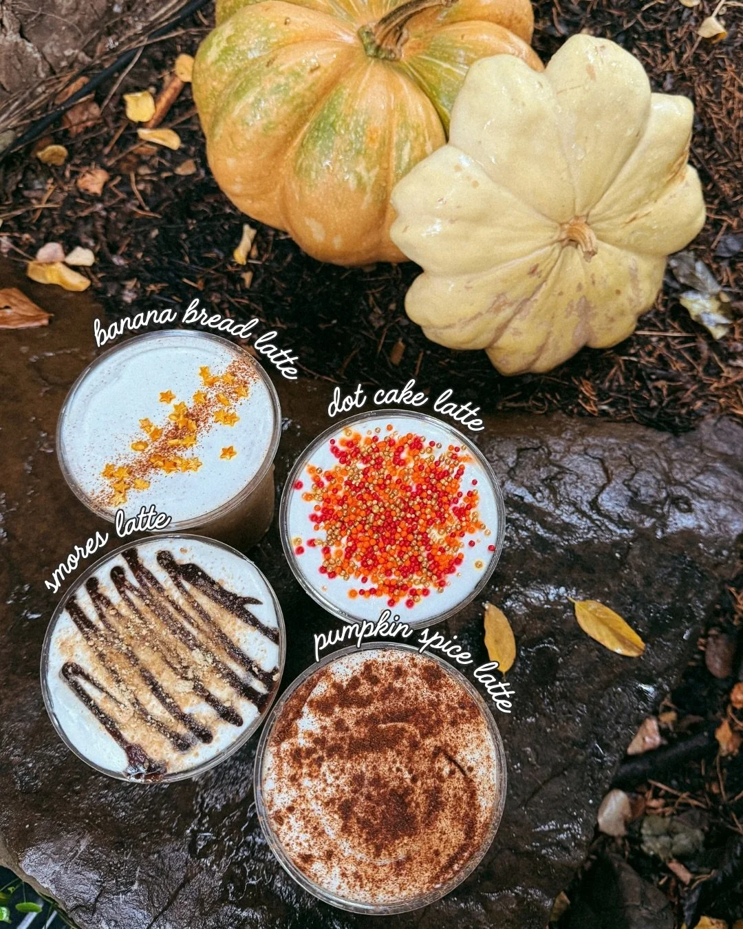 Fall is officially on the menu tomorrow! ✨