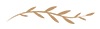 LeafDivider_02-100.png
