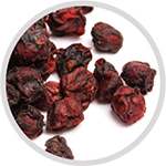 SCHISANDRA BERRY is a potent general tonic. It decreases fatigue, promotes endurance, and enhances physical performance as proven in human studies. Revered in Asian countries for it’s overall anti-aging and anti-inflammatory effects, soon to be discovered and promoted worldwide.