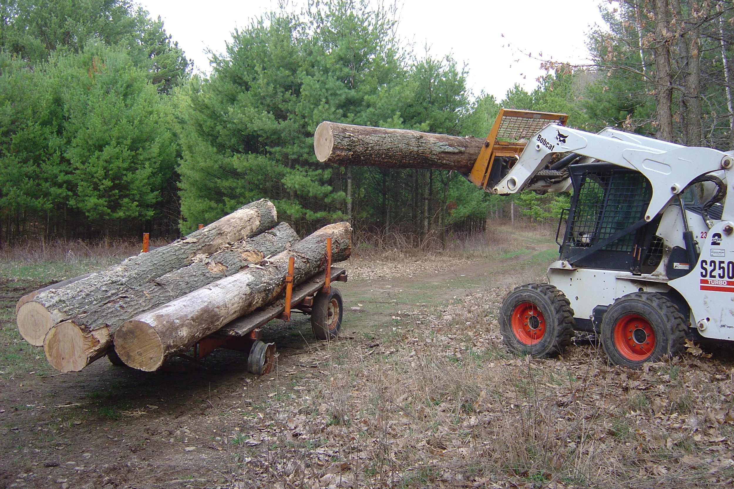 Log Harvesting