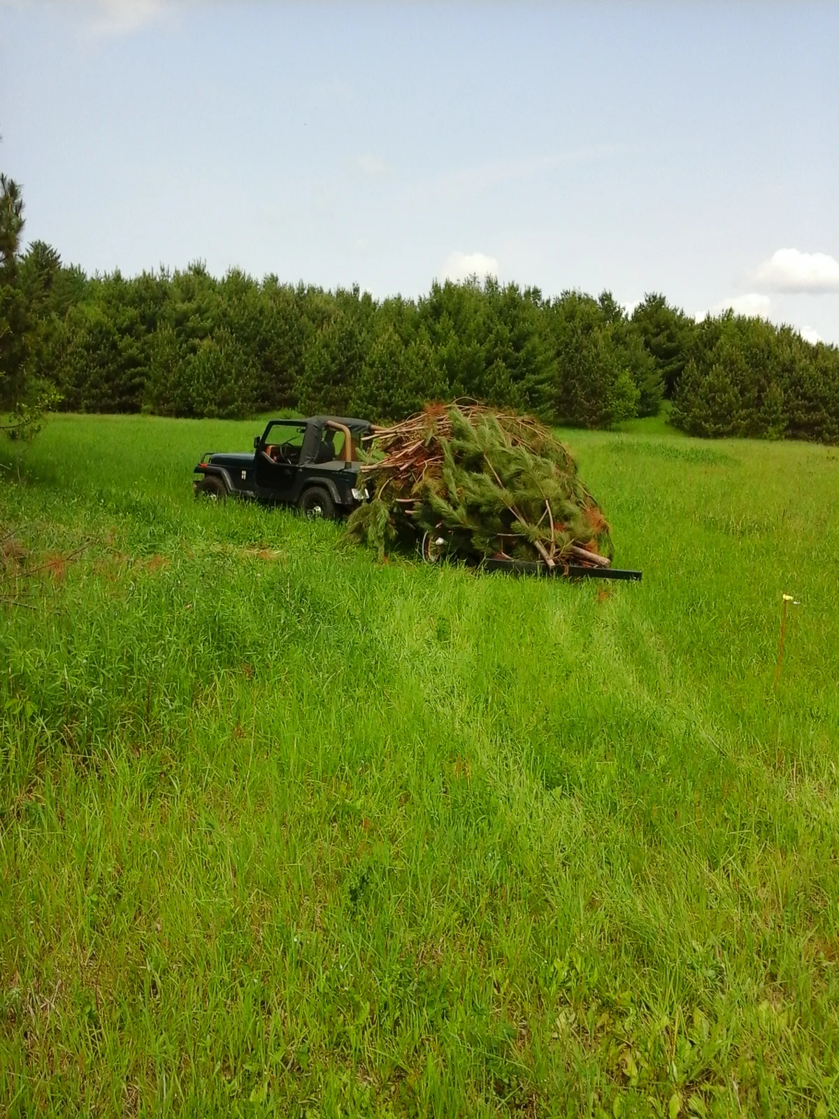 Twig Harvesting