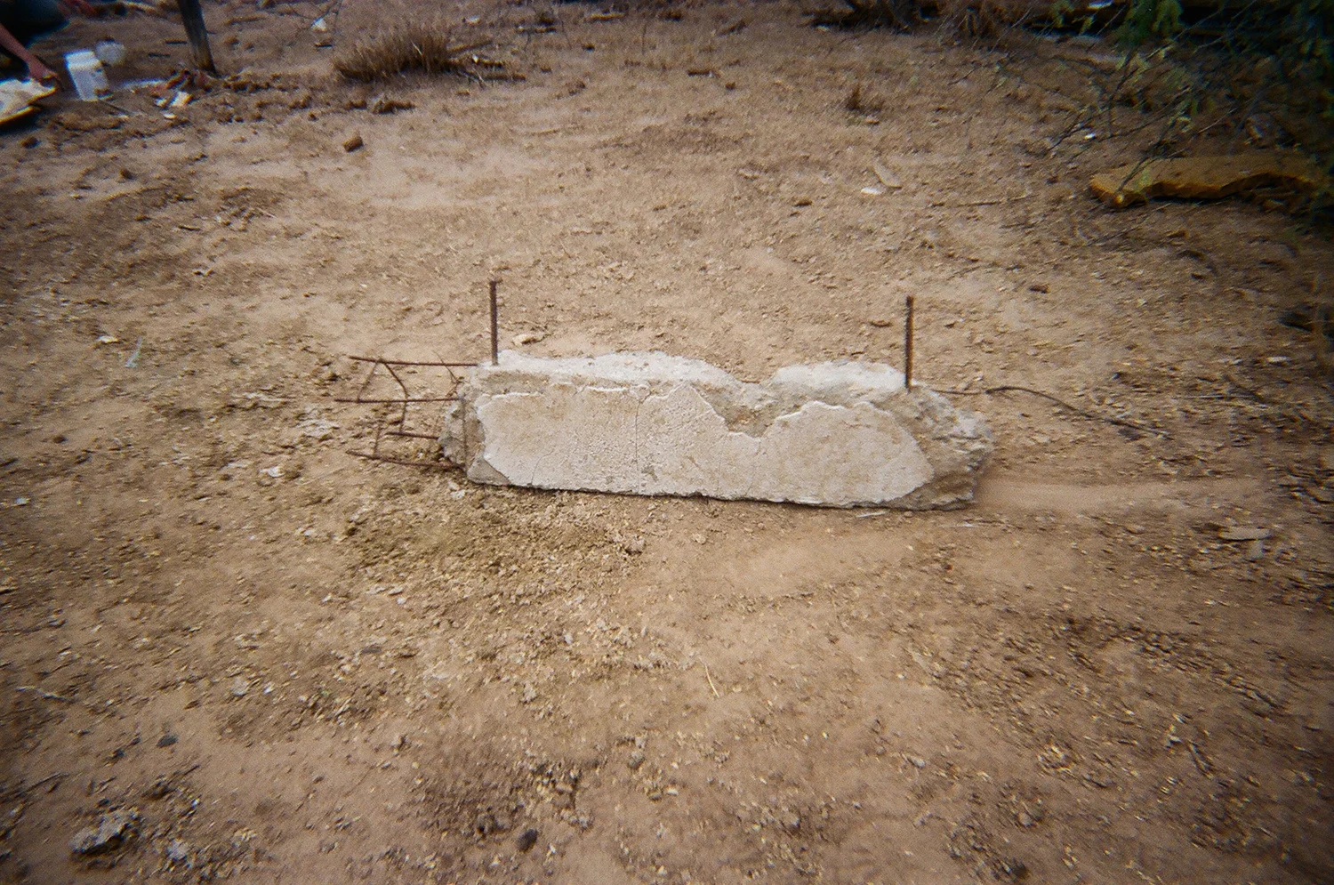 32980035.JPG