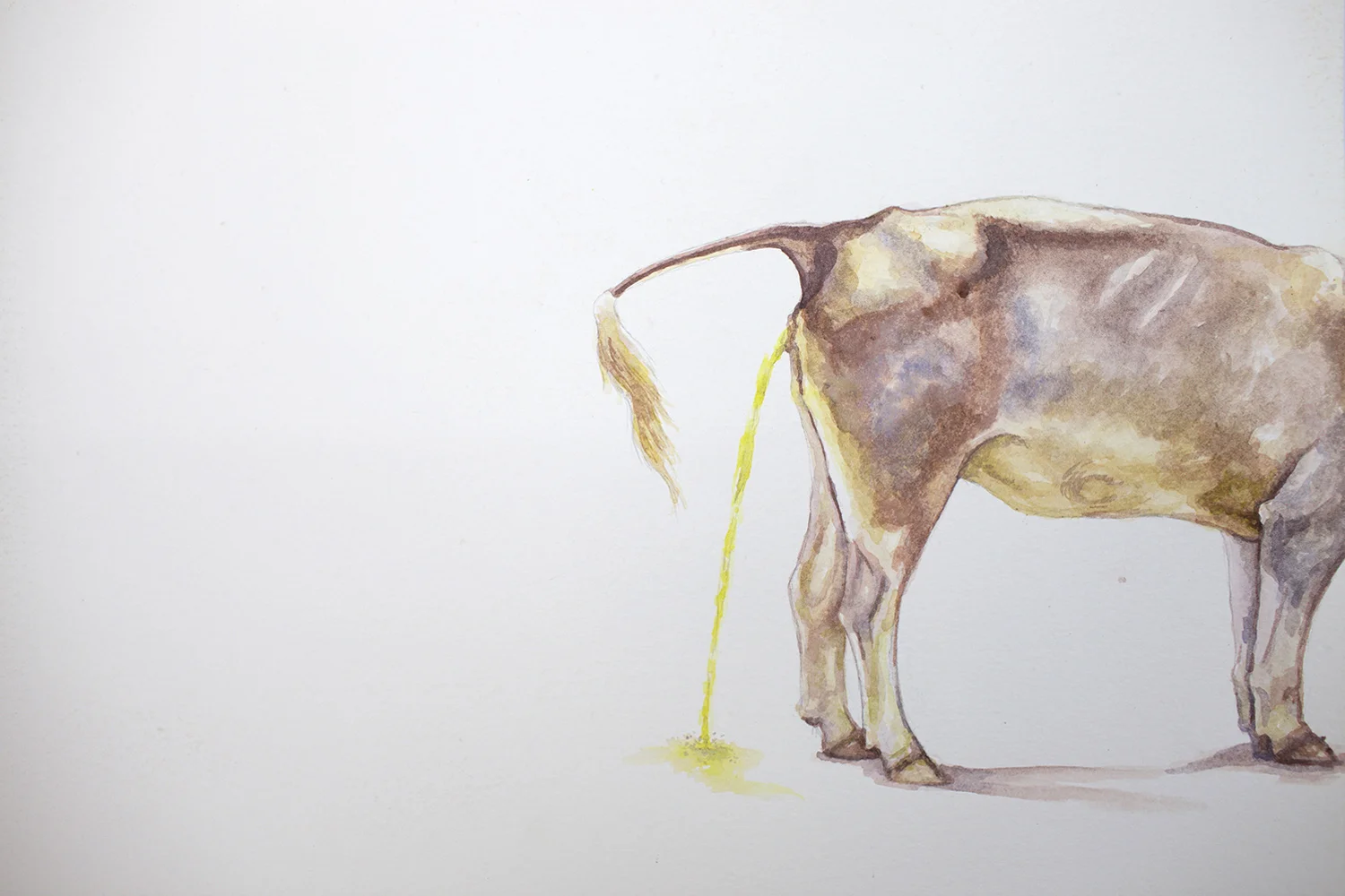 Vaca meando 2018 Acrílico sobre papel 35 x 50cm