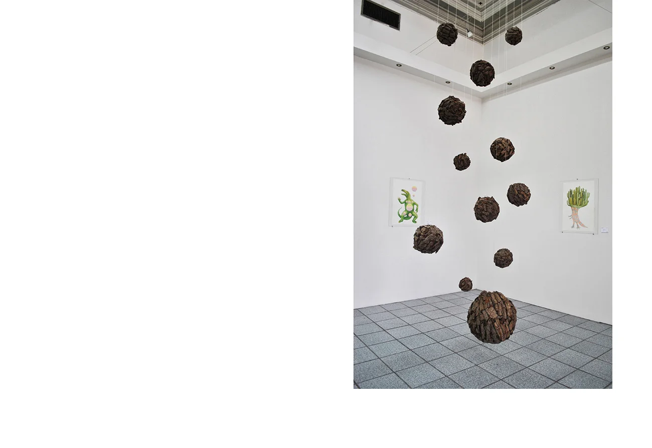 La metamorfosis de los otros, Instituto Sonorense de Cultura, Hermosillo, Sonora, 2010.