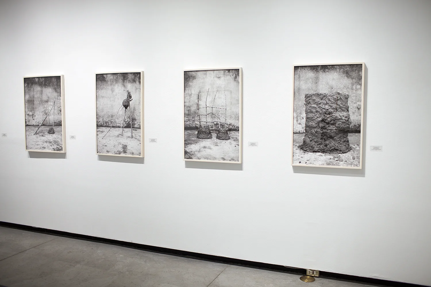Louis Carlos Bernal Gallery. Tucson Arizona, 2019