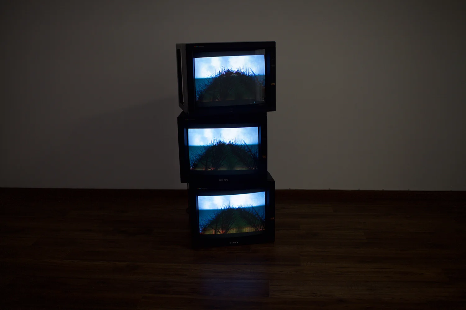 Screensavers Video a 3 canales
