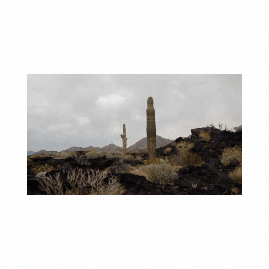 Diseño sin título (2).gif