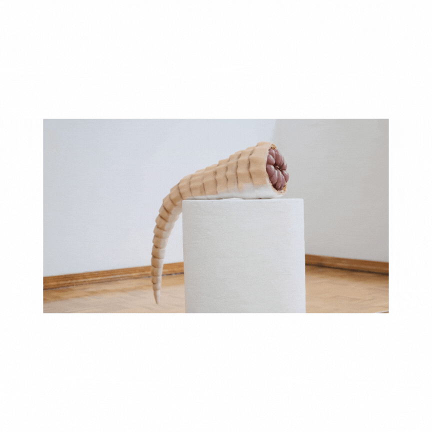 Diseño sin título (7).gif