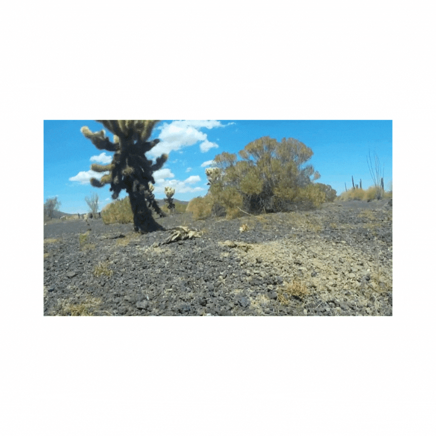 Diseño sin título.gif