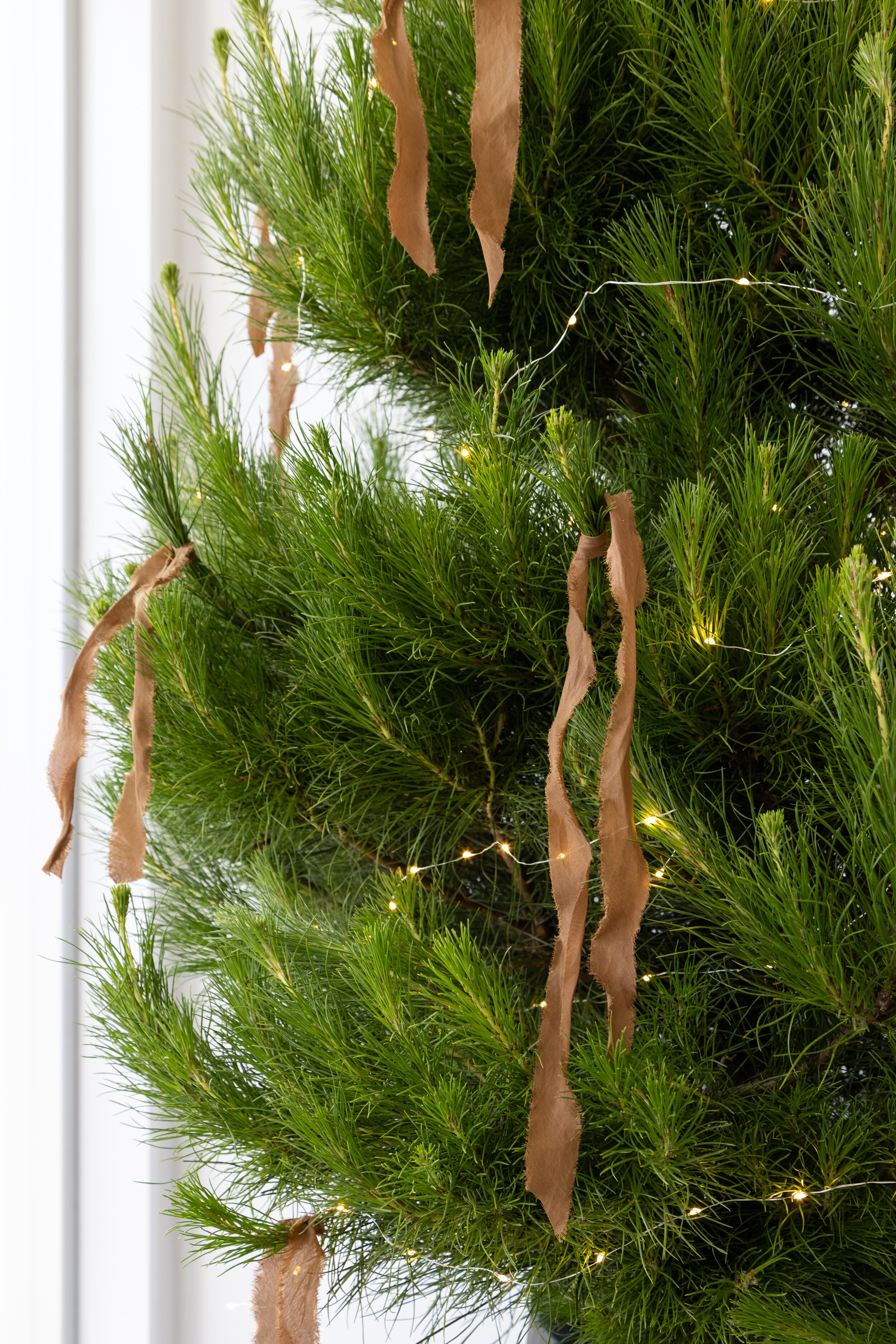 2U2A1732-1 Small.JPG