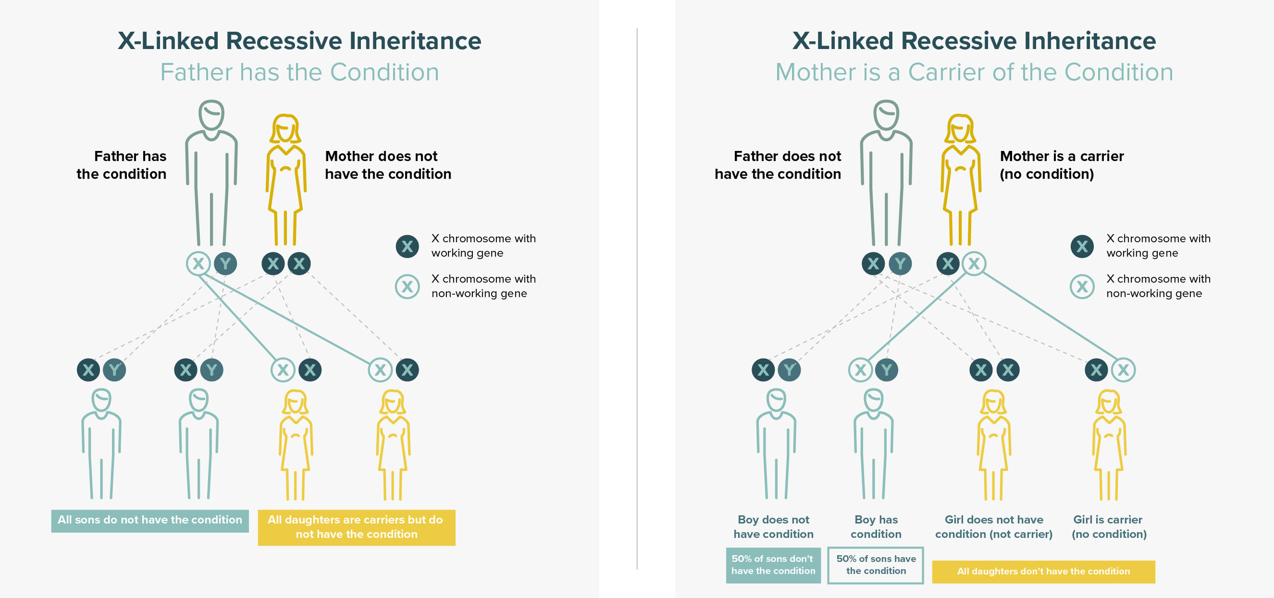 Click on image to enlarge