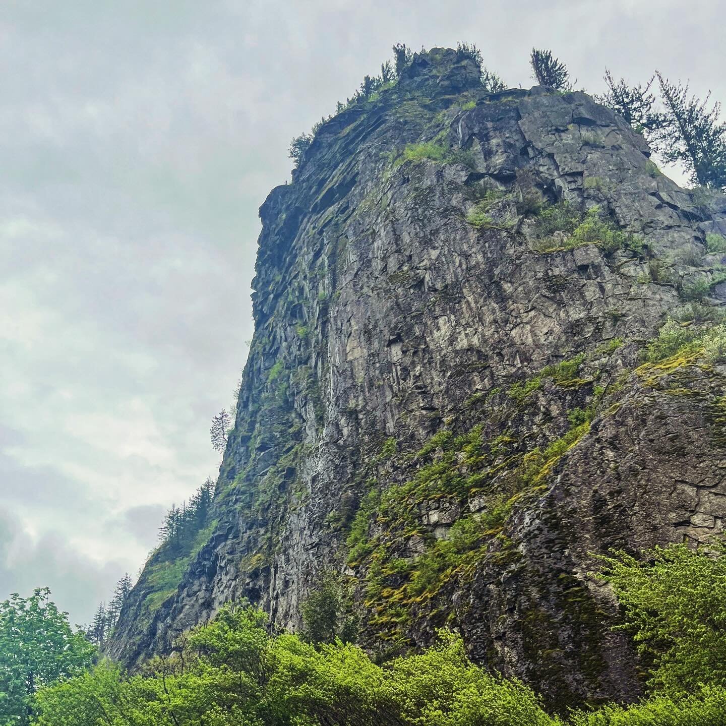 After loading the kiln this morning we decided to take the dogs and head out of town. We needed a healthy dosage of inspiration and what better place than the Columbia River Gorge? So we found a spot to enjoy lunch and then walked around on the river