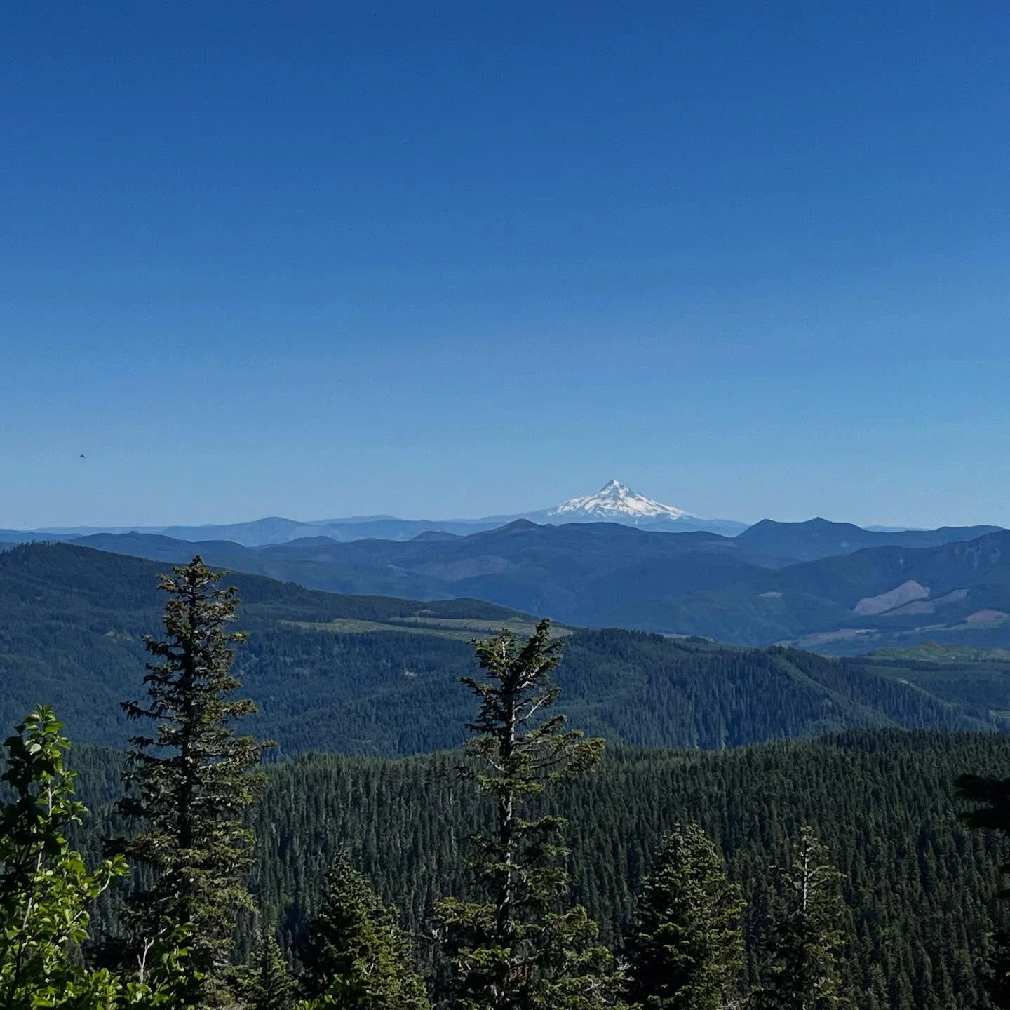 The last couple weeks! Still waiting on our kiln part to arrive so we&rsquo;ve made the most out of our break by getting outside. Hiking on Mount St. Helens, in the forests, and to hidden waterfalls. Grateful for the inspo and time with our family. ?