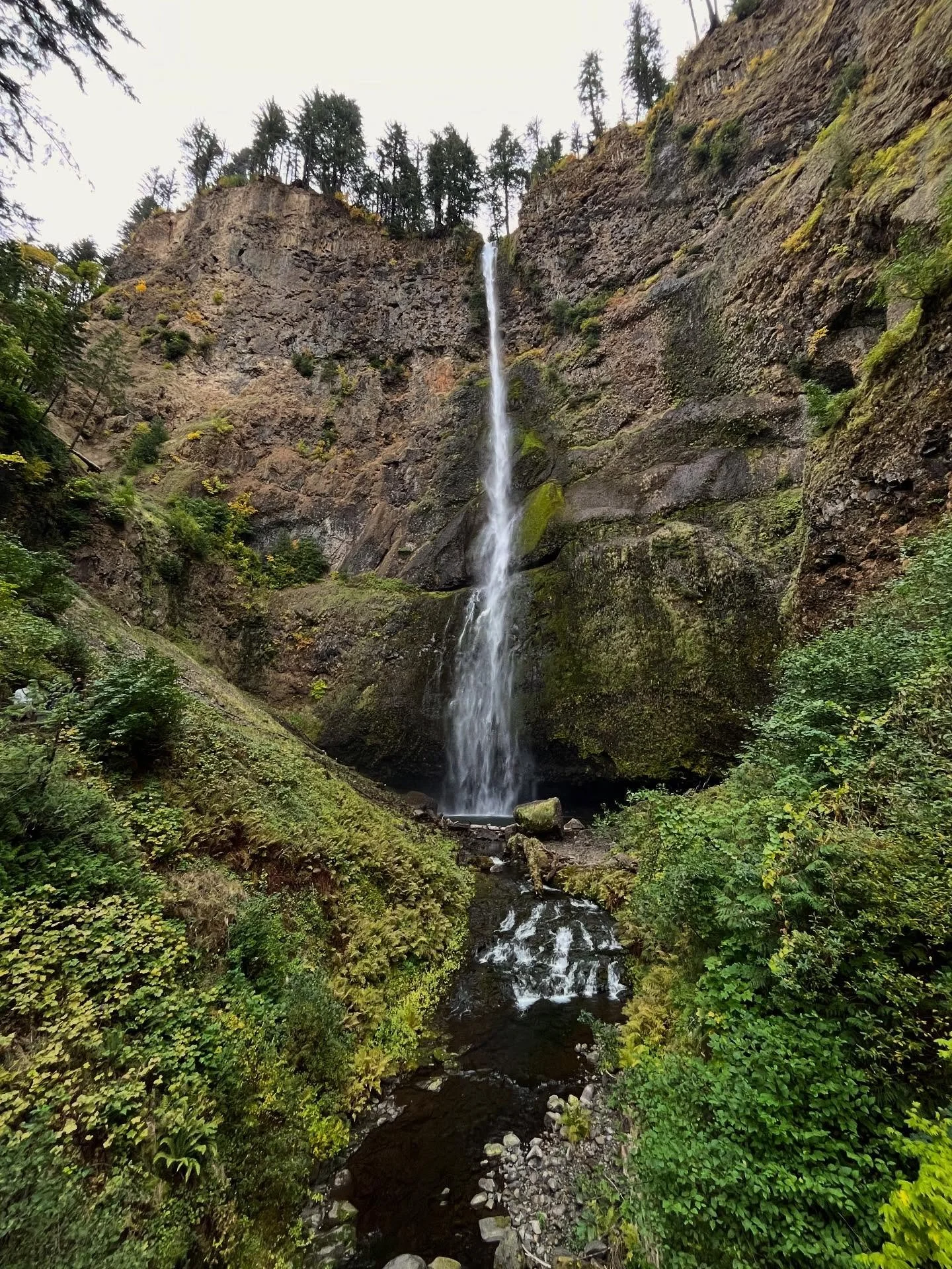 The obligatory visit to Multnomah Falls in autumn 🍂 🩵
