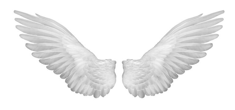 Angel Wings.jpg