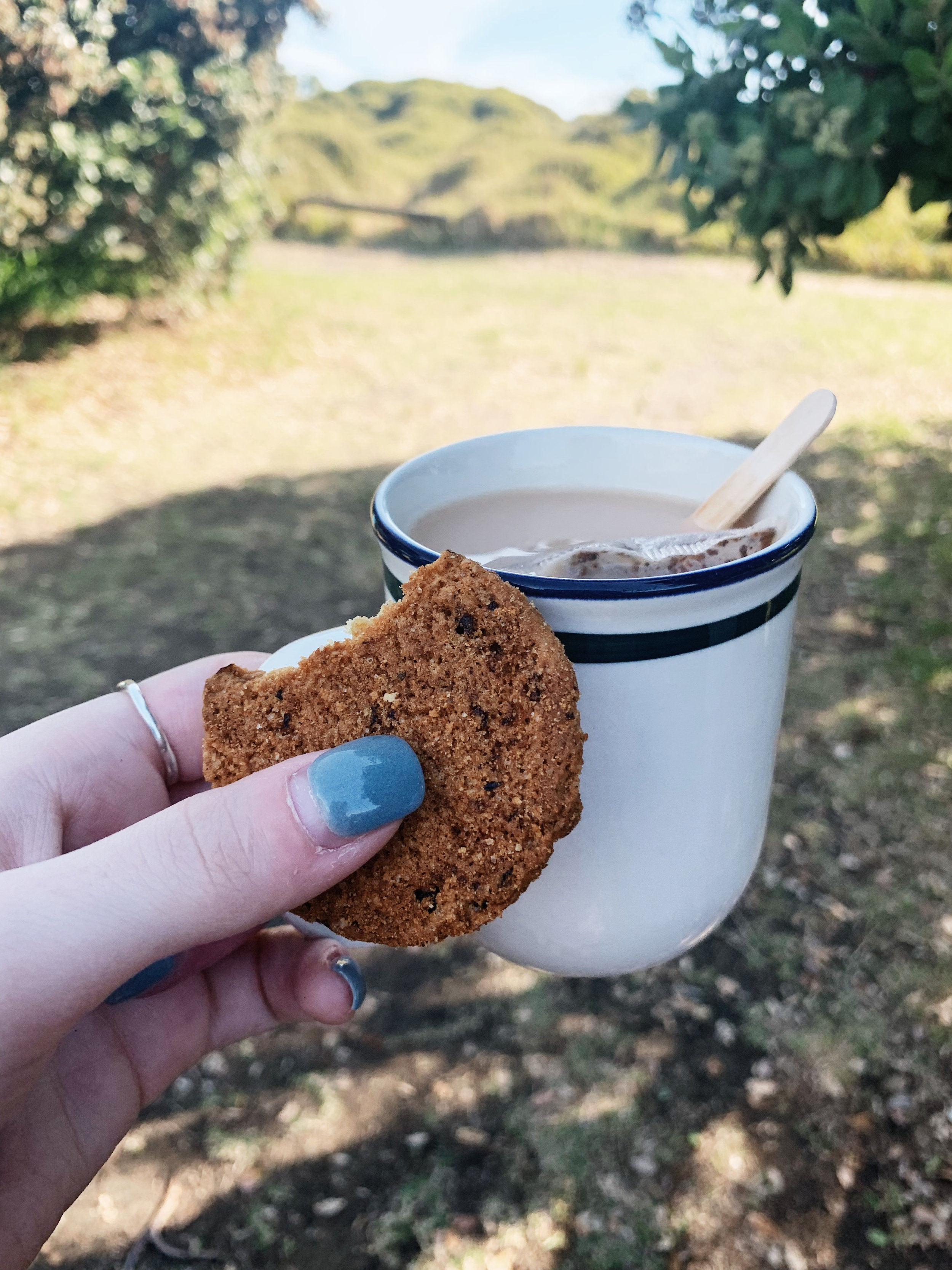 cookie and tea at the famous piha beach 