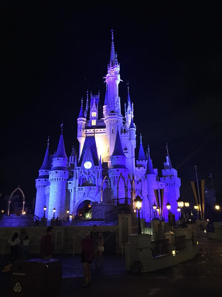 magic kingdom at nigh in Disney