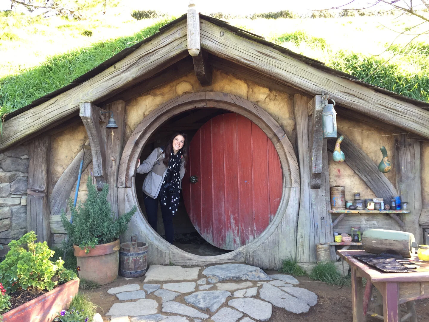 OFF TO THE LAND OF KIWIS PART II