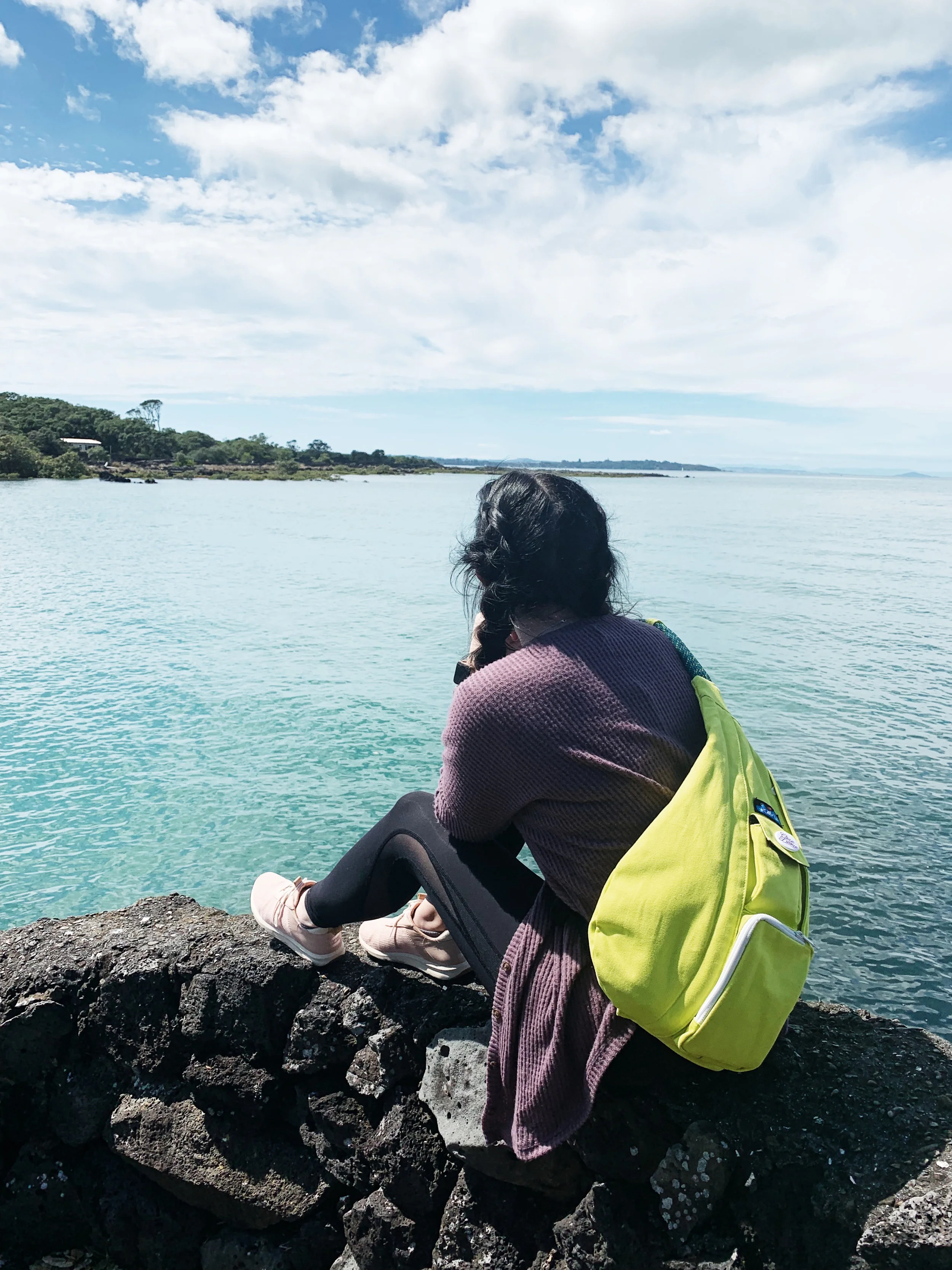 HOW TO GET A RANGITOTO ISLAND TOUR 